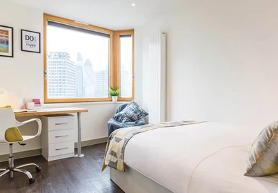 Alojamiento con 3 habitaciones en City-of-london