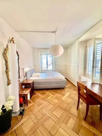 Alquiler de habitaciones por meses en Zurich