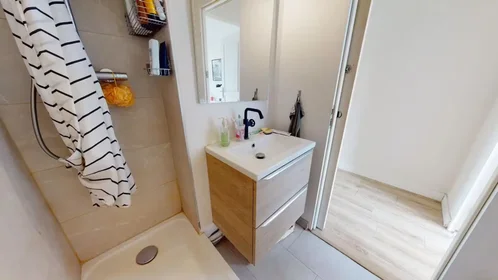 Privatzimmer in der Rue Guillaume Janvier, Lemasson, bild 10 von 10