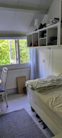 Chambre à louer dans un appartement en colocation à Groningen