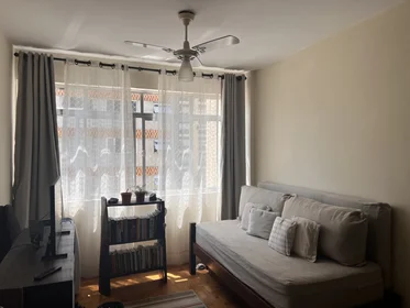 Entire apartment at Rua Cyra, image 1 of 10