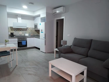 Entire fully furnished flat in Cordoba