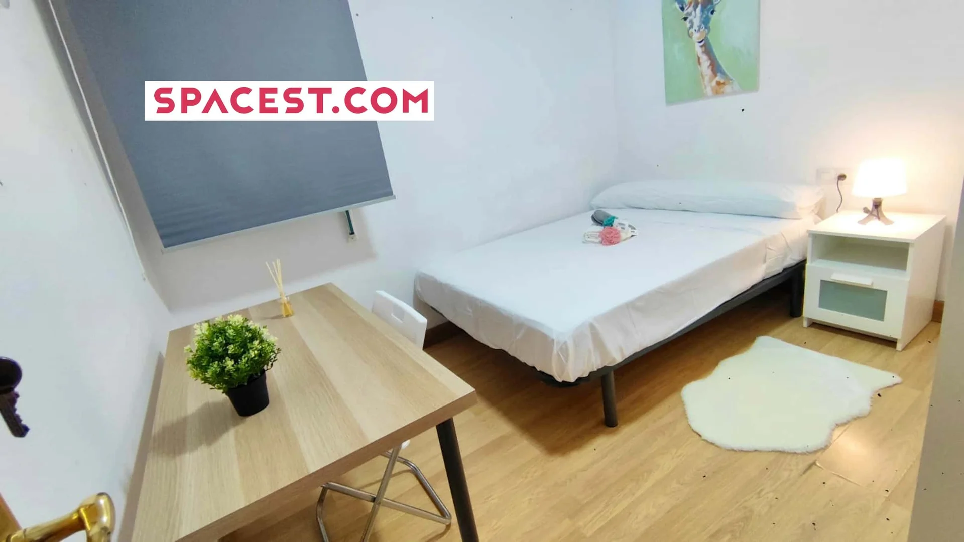 Functional student room perfect for studying in 