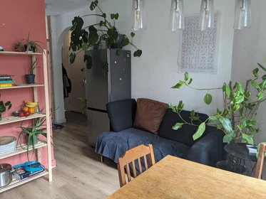 Alquiler de habitación en piso compartido en Amsterdam