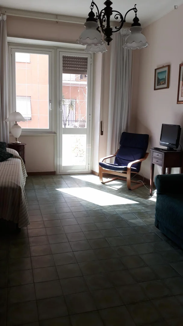 Affordable room for students with ample lighting in 