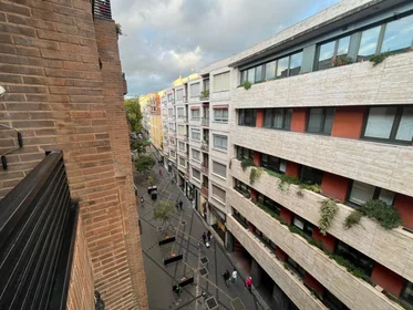 Stanza privata in Calle de Juan XXIII, immagine 12 di 12