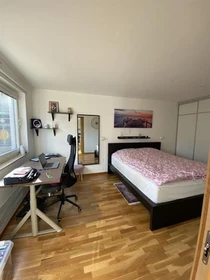 Accommodation in the centre of Malmo