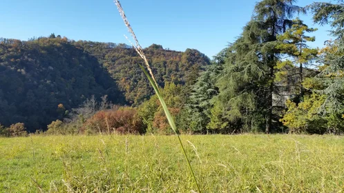 Stanza privata in Via Carrani, , immagine 9 di 9