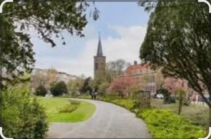 Alojamiento entero en Weissenbruchstraat, Benoordenhout, imagen 3 de 10