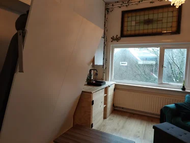 Alojamiento entero en Weissenbruchstraat, Benoordenhout, imagen 10 de 10