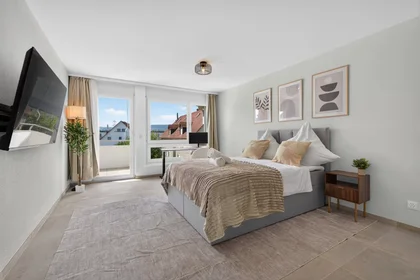 Chambre à louer dans un appartement en colocation à {area}