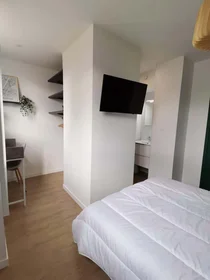 Quarto privado em 16 Rue des Guillemets, 10000 Troyes, France, imagem 1 de 5