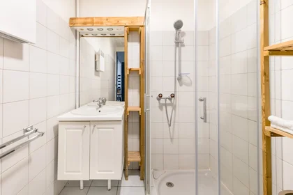 Appartamento intero in Rue Emile Reymond 9, immagine 15 di 15