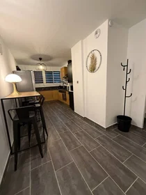 Private room at Toulouse, 31500, image 1 of 10