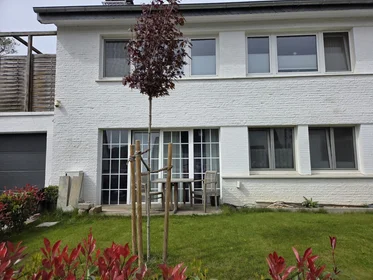 Entire apartment at Am Kuhlenweg, image 15 of 16