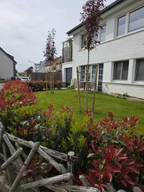 Entire apartment at Am Kuhlenweg, image 16 of 16