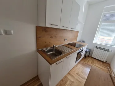 Dairenin tamamı konumu Vinkovačka cesta 4, 3 5 görüntüsü