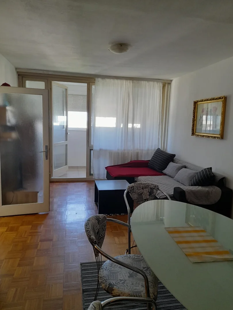 Ulica Božidara Magovca 109