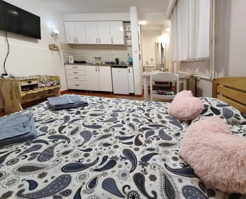 Entire apartment at Lješka, image 11 of 16