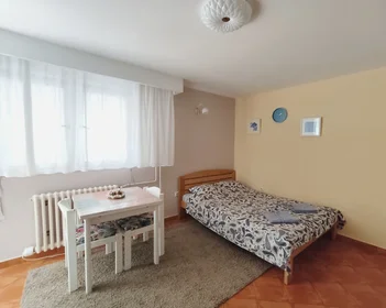 Entire apartment at Lješka, image 14 of 16