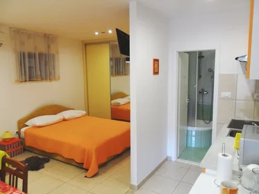Entire apartment at Radunica ulica 91, image 15 of 16