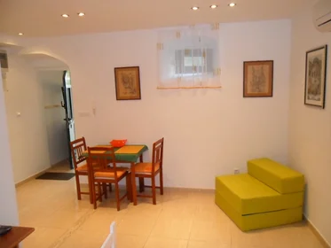 Entire apartment at Radunica ulica 91, image 3 of 16