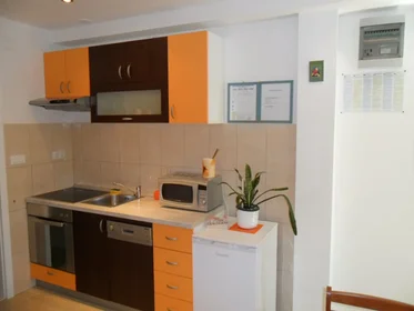 Entire apartment at Radunica ulica 91, image 4 of 16