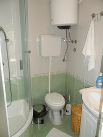 Entire apartment at Radunica ulica 91, image 6 of 16