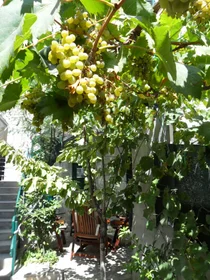 Entire apartment at Radunica ulica 91, image 10 of 16