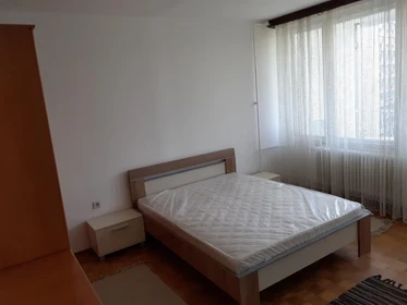 Logement avec 3 chambres à Belgrade