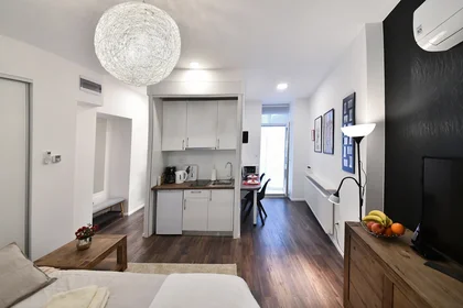 Entire apartment at Petrova ulica 8, image 1 of 10