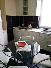 Gesamte Unterkunft in der Antifašističke borbe 21g, bild 4 von 10
