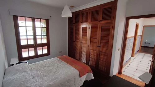 Habitación en alquiler con cama doble Palmas-de-gran-canaria-las