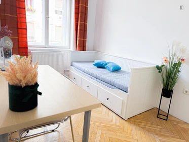 Alquiler de habitación en piso compartido en Budapest