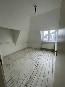 Utrecht de çift kişilik yataklı kiralık oda