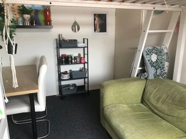 Chambre à louer dans un appartement en colocation à Enschede