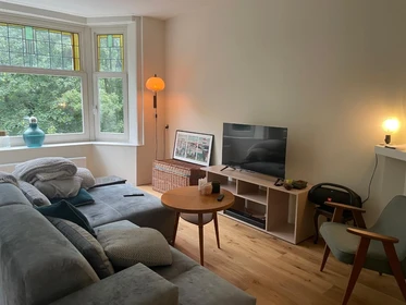 Entire fully furnished flat in Amsterdam