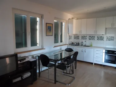 Entire apartment at Ulica Sveti Duh 83, image 6 of 14