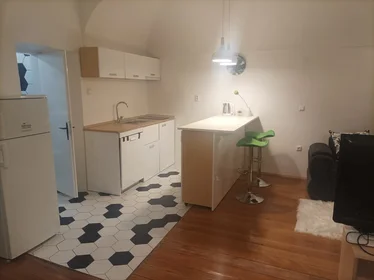 Entire apartment at Ulica Jove Jovanovića Zmaja 5, image 1 of 10