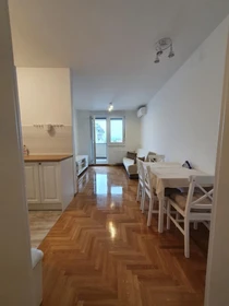 Zagreb de modern ve aydınlık daire