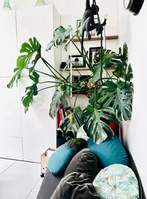Homestay La rochelle, 17000, obraz 6 17