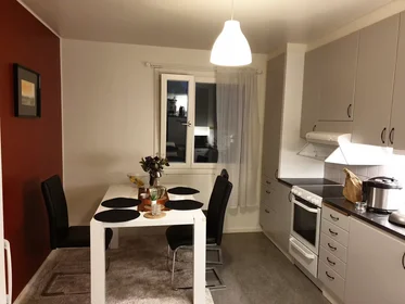 Chambre privée à Ribbings väg, image 6 de 10