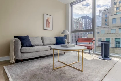 Apartamento moderno e brilhante em Chicago