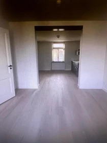 Room for rent in a shared flat in Eindhoven