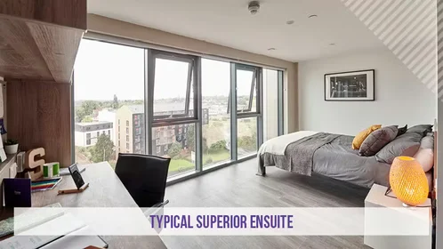 Privatzimmer in der Friars' Rd, Coventry CV1 2JE, United Kingdom, bild 19 von 43