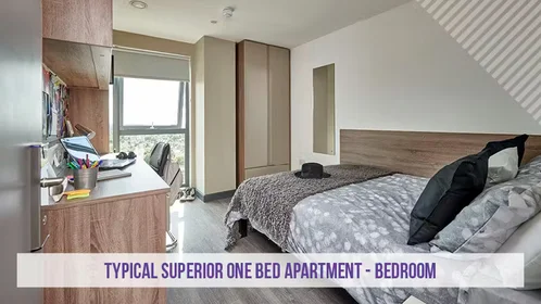 Privatzimmer in der Friars' Rd, Coventry CV1 2JE, United Kingdom, bild 28 von 43