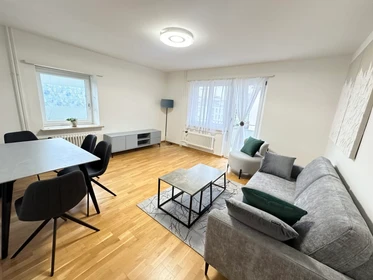 Alquiler de habitaciones por meses en Zurich