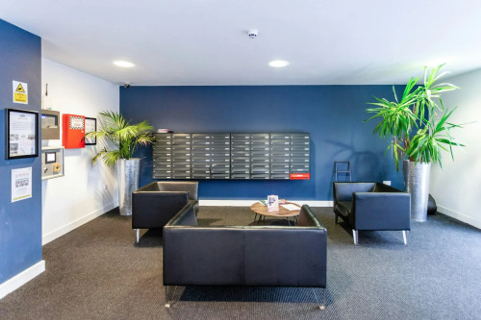 Bright and airy student room with easy university access in 