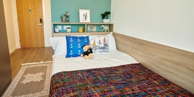 Chambre à louer dans un appartement en colocation à Bristol