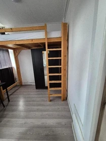 Room for rent with double bed Leeuwarden